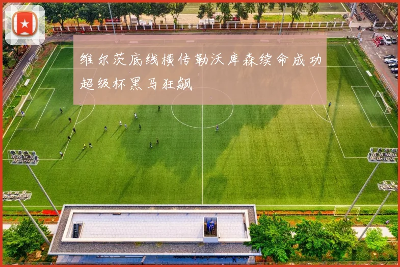 维尔茨底线横传勒沃库森续命成功超级杯黑马狂飙
