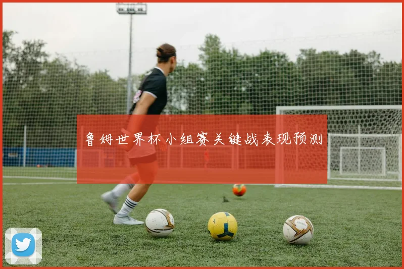 鲁姆世界杯小组赛关键战表现预测