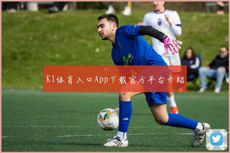 K1体育入口App下载官方平台介绍